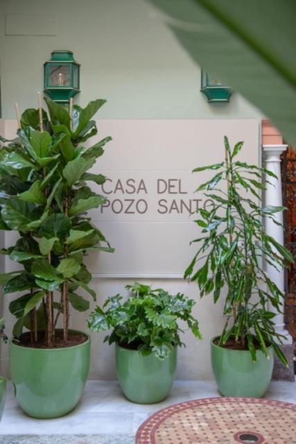 Apartamentos La Casa Del Pozo Santo Sevilla Bagian luar foto